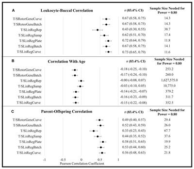 Impact of Amplification Efficiency Approaches on Telomere Length Measurement via Quantitative-Polymerase Chain Reaction